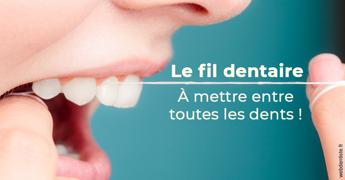 https://selarl-docteur-gilles-garnier.chirurgiens-dentistes.fr/Le fil dentaire 2