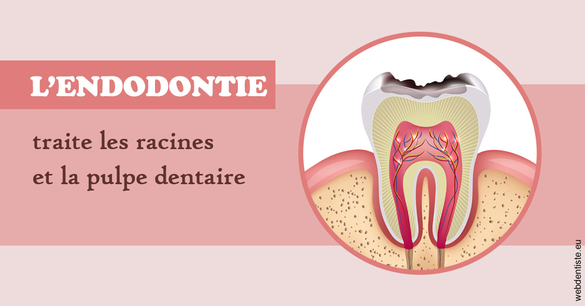 https://selarl-docteur-gilles-garnier.chirurgiens-dentistes.fr/L'endodontie 2
