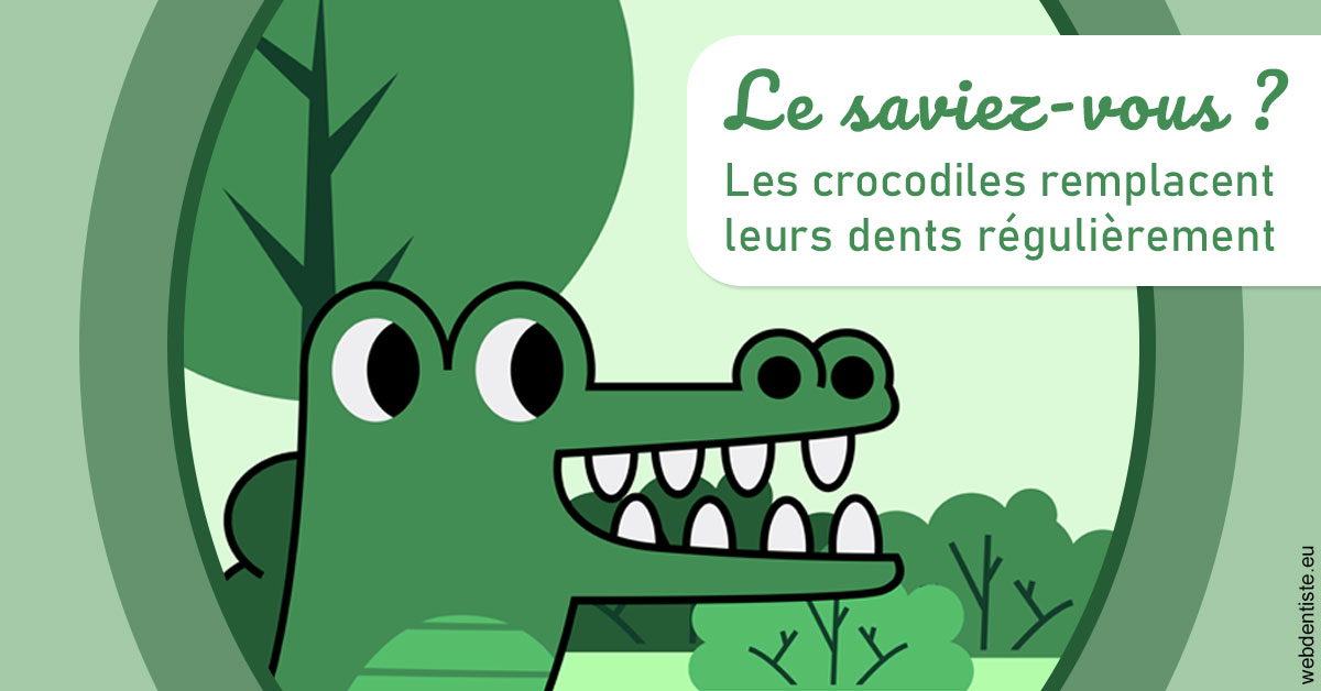 https://selarl-docteur-gilles-garnier.chirurgiens-dentistes.fr/Crocodiles 2
